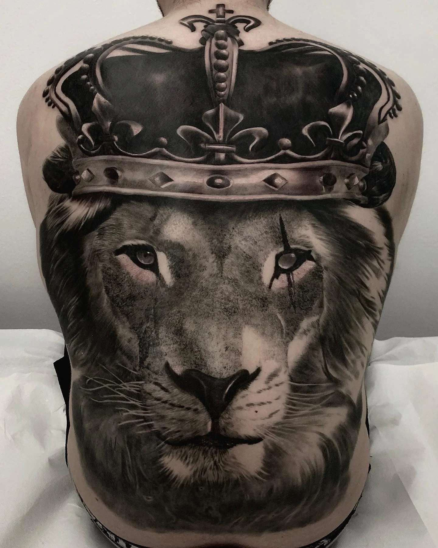 Healed crowned lion back piece in black and grey