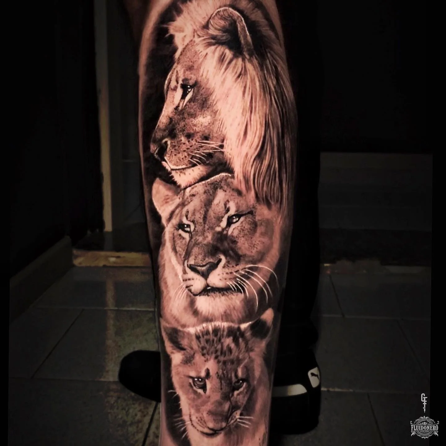 Healed black and grey lion, lioness and cub on the leg